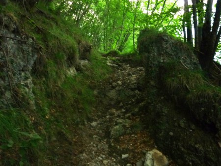 Arrivando su in Tèla.